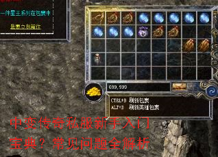 中变传奇私服新手入门宝典?常见问题全解析 中变传奇私服新手入门宝典?常见问题全解析