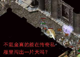 不氪金真的能在传奇私服里闯出一片天吗? 不氪金真的能在传奇私服里闯出一片天吗?