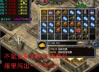 不氪金真的能在传奇私服里闯出一片天吗? 不氪金真的能在传奇私服里闯出一片天吗?