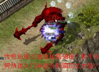 传奇私服互通版秘籍揭秘?新手如何快速入门并进阶称霸玛法大陆? 传奇私服互通版秘籍揭秘?新手如何快速入门并进阶称霸玛法大陆?
