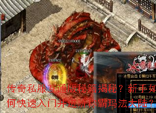 传奇私服互通版秘籍揭秘?新手如何快速入门并进阶称霸玛法大陆? 传奇私服互通版秘籍揭秘?新手如何快速入门并进阶称霸玛法大陆?