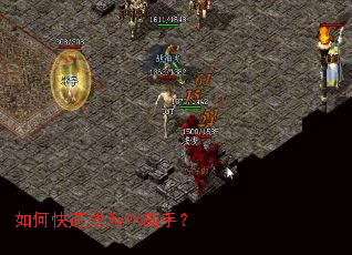 如何快速成为PK高手? 如何快速成为PK高手?