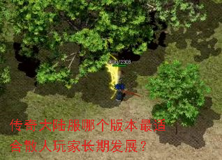 传奇大陆服哪个版本最适合散人玩家长期发展? 传奇大陆服哪个版本最适合散人玩家长期发展?