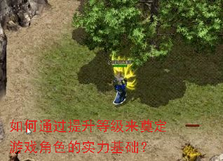 如何通过提升等级来奠定游戏角色的实力基础? 如何通过提升等级来奠定游戏角色的实力基础?