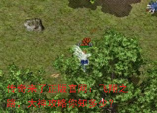 传奇来了正版官网:飞翔之路,大神攻略你知多少? 传奇来了正版官网:飞翔之路,大神攻略你知多少?