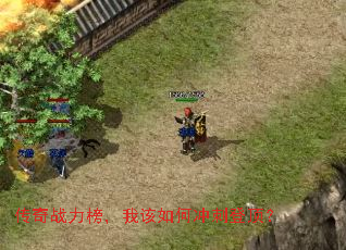 传奇战力榜,我该如何冲刺登顶? 传奇战力榜,我该如何冲刺登顶?