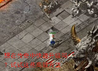 想在传奇中快速升级吗?试试这些高效方法 想在传奇中快速升级吗?试试这些高效方法