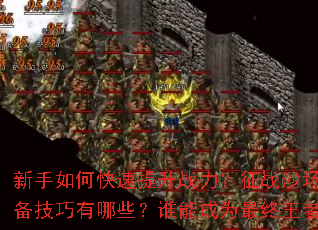 新手如何快速提升战力?征战沙场必备技巧有哪些?谁能成为最终王者? 新手如何快速提升战力?征战沙场必备技巧有哪些?谁能成为最终王者?