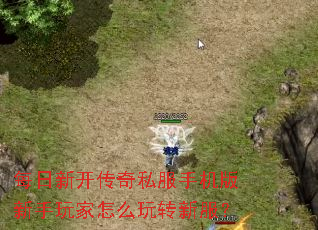 每日新开传奇私服手机版新手玩家怎么玩转新服? 每日新开传奇私服手机版新手玩家怎么玩转新服?