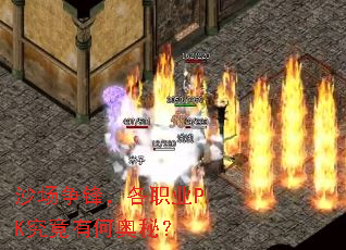 ɳ�����棬��ְҵPK�����кΰ��أ�