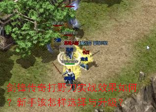 ���洫���Ұ��ʵսЧ����Σ����ָ�����ѡ����������