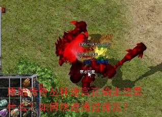 原始传奇丛林迷宫正确走法是什么?如何快速通过迷宫? 原始传奇丛林迷宫正确走法是什么?如何快速通过迷宫?