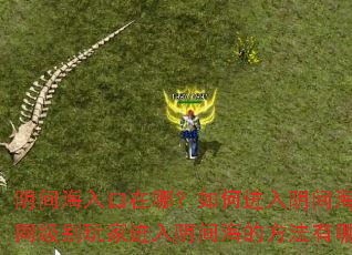 阴间海入口在哪?如何进入阴间海?不同级别玩家进入阴间海的方法有哪些? 阴间海入口在哪?如何进入阴间海?不同级别玩家进入阴间海的方法有哪些?