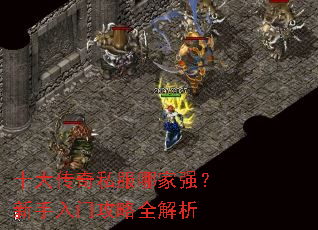 十大传奇私服哪家强?新手入门攻略全解析 十大传奇私服哪家强?新手入门攻略全解析