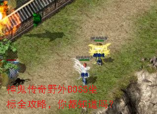 神鬼传奇野外BOSS坐标全攻略,你都知道吗? 神鬼传奇野外BOSS坐标全攻略,你都知道吗?