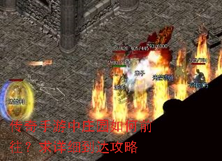 ����������ׯ԰���ǰ��������ϸ���﹥��