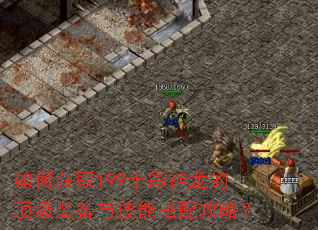 如何获取199十彩神龙的顶级装备与技能搭配攻略? 如何获取199十彩神龙的顶级装备与技能搭配攻略?