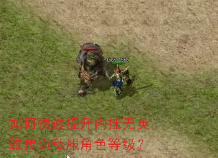 如何快速提升内挂无英雄传奇私服角色等级? 如何快速提升内挂无英雄传奇私服角色等级?