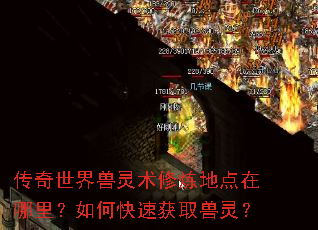 传奇世界兽灵术修炼地点在哪里?如何快速获取兽灵? 传奇世界兽灵术修炼地点在哪里?如何快速获取兽灵?