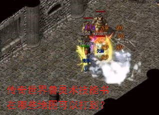 传奇世界兽灵术技能书在哪些地图可以打到? 传奇世界兽灵术技能书在哪些地图可以打到?
