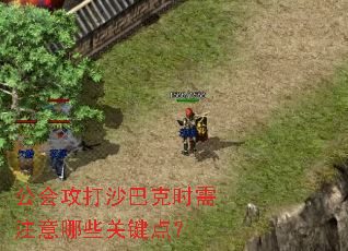公会攻打沙巴克时需注意哪些关键点? 公会攻打沙巴克时需注意哪些关键点?