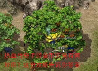 热血传奇手游金币究竟有何妙用?这份攻略告诉你答案 热血传奇手游金币究竟有何妙用?这份攻略告诉你答案