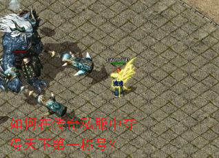 ����ڴ���˽���ж�����µ�һ�ƺţ�