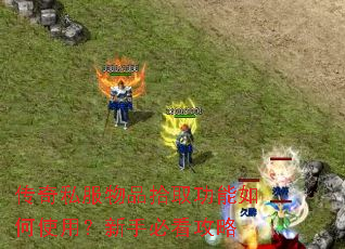 ����˽����Ʒʰȡ�������ʹ�ã����ֱؿ�����